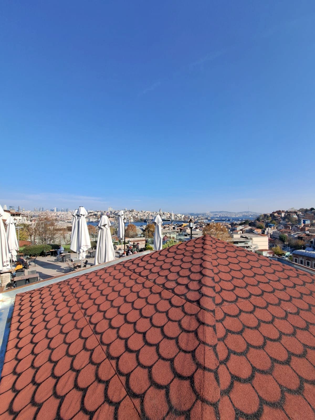 Yaprak Desenli Çatı Şiltesi